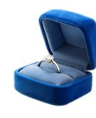 Proposal